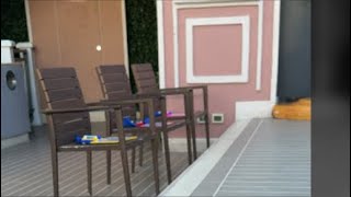 Legends of Lido on the Carnival Venezia - Live!!