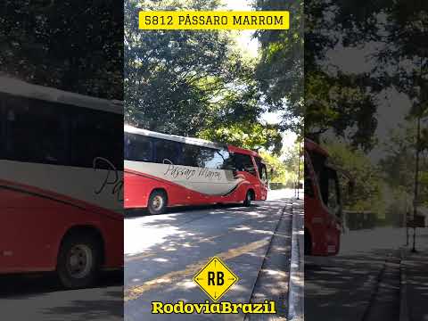 DE SÃO PAULO PARA JACAREÍ SAINDO DA RODOVIÁRIA DO TIETÊ #rodoviabraziloficial #marcopolo #shorts