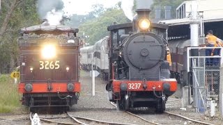 preview picture of video 'Australia: Steam loco #3265 with the Buxton shuttle, 01Mar15'