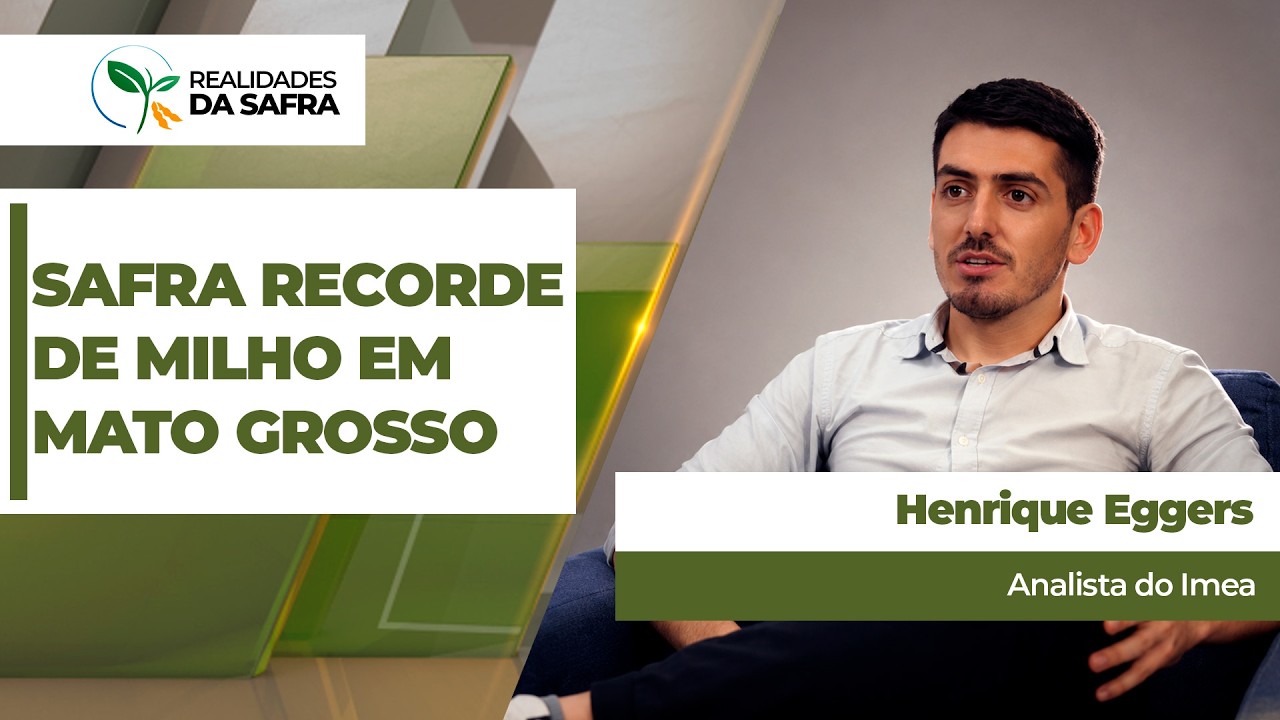 Imea eleva previsão para safra de milho do Mato Grosso, que deve passar de 57 M. de toneladas.