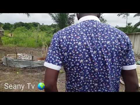 Yaya Vichenzo - Act 26 (Shopping for the in-laws)