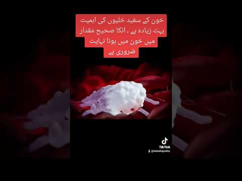 Importance of White Blood Cells in #Immunuty #Health