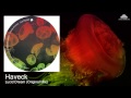 Haveck - Lucid Dream (Original Mix) 