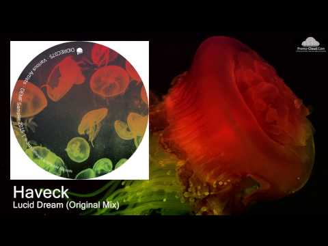 Haveck - Lucid Dream (Original Mix)
