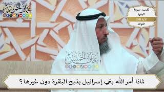 221- لماذا أمر الله بني إسرائيل بذبح البقرة دون غيرها؟ - عثمان الخميس