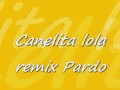 Canelita lola remix Pardo 