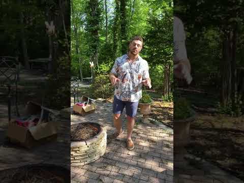 How to Get Big, Cut, & Strong— All at the Same Time