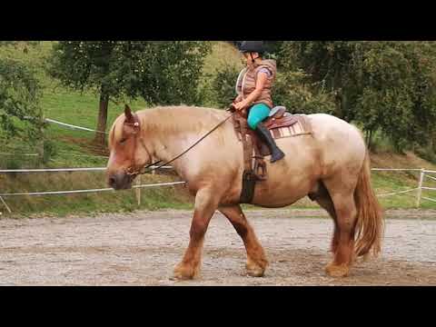 Ugo & strong Girl - Die Fuhrhalterei