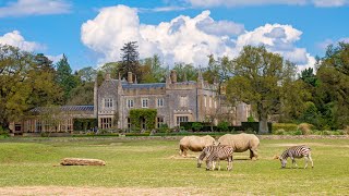 Visiting Animals in Cotswold Wildlife Park and Gardens in Burford | England | Gaslamp Funworks Track