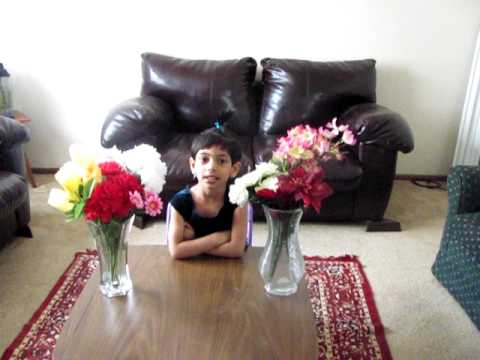 Manasvini Rhymes in Telugu and English