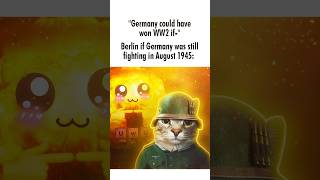 Germany had no business winning WW2💔🥀#history #meme #historymeme #fyp 