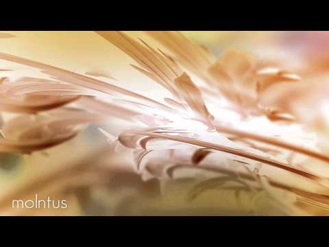 Oliver Englafjord - Molntus (Naden remix)