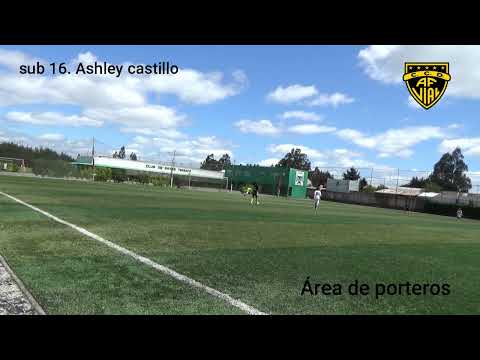 sub 16 Temuco vs F vial