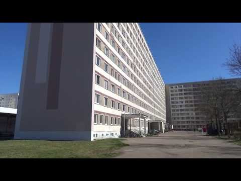 Stadtmauer schrumpft weiter - ELSTERWELLE