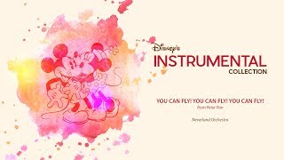 Disney Instrumental ǀ Neverland Orchestra - You Can Fly! You Can Fly! You Can Fly!