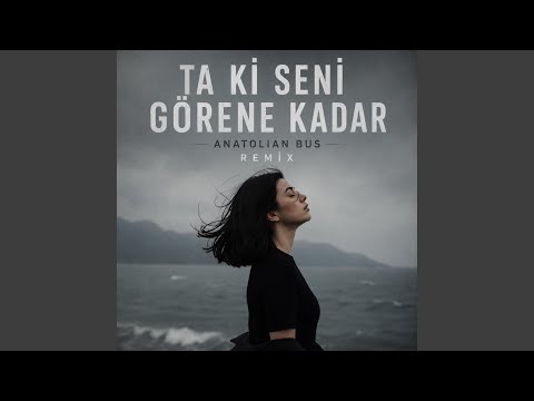 Ta ki seni görene kadar - anatolian bus (Remix)