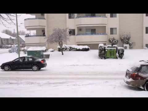 Snowfall _ beauty off Nature ! Drone Aerial / View HD video's