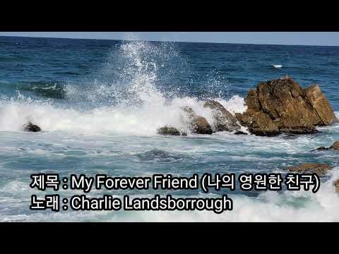 My Forever Friend