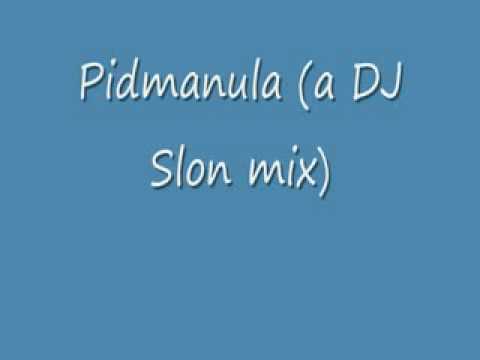 Dj slon - pidmanula
