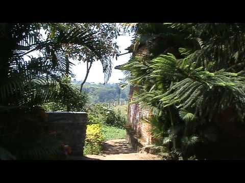 Jawhar (MH) - Sunset Point Resort