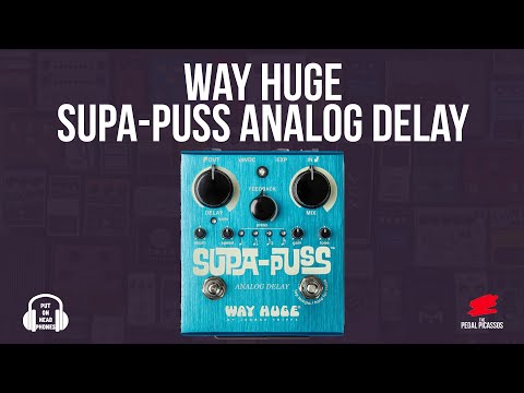 Way Huge SUPA-PUSS  The BEST analog delay on the market!