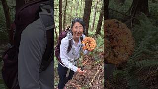きのこ狩り Lobster Mushroom#Shorts