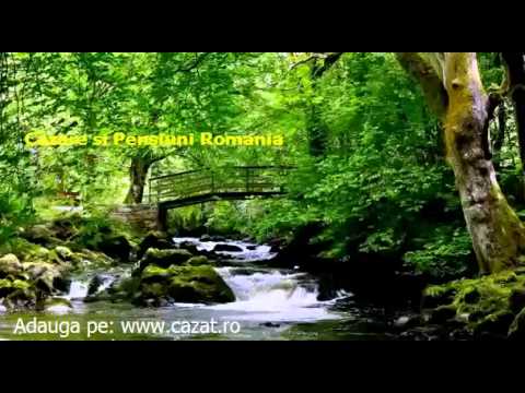 Cazare Cetatea de Balta, Alba - Cazat.ro