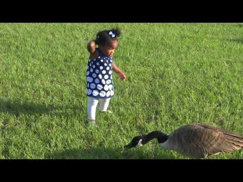 1 year old Duck Feeding!!!