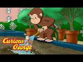 Curious George Gardening With George Kids Cartoon Kids Movies Videos For Kids