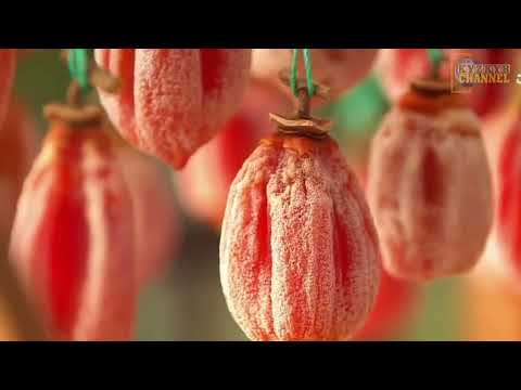 How Delicious Dried Persimmons are Processed, Amazing Technique by Japanese Farmers