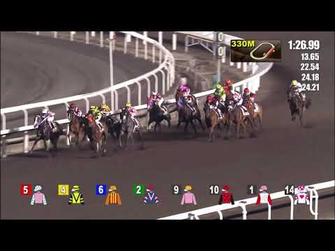 31/3/2021 (549) Fairy Floss - Z Purton