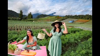 Download lagu MASAK HASIL KEBUN BERKAHNYA TINGGAL DI DESA mp3 Download lagu MASAK HASIL KEBUN BERKAHNYA TINGGAL DI DESA mp3