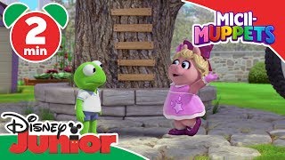 Micii-Muppets | Disney Junior România | Descrierea lui Kermit și Piggy