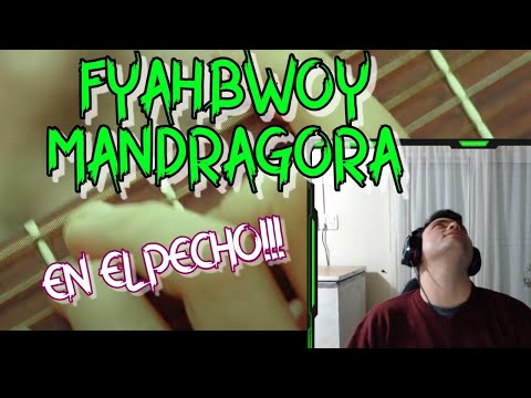 REACCIÓN A FYAHBWOY   MANDRÁGORA