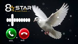 Download lagu pigeon message ringtone#new message ringtone 2026#SMSringtone#notification ringtone#messageringtones mp3 Download lagu pigeon message ringtone#new message ringtone 2026#SMSringtone#notification ringtone#messageringtones mp3