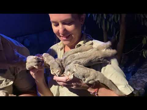 Territory Wildlife Park