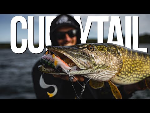 Hechtangeln im Flachwasser | Hostagevalley Lures Curlytail Test | PikeFishingCrew |