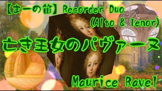 Download lagu 【まーの笛】亡き王女のためのパヴァーヌ/ラヴェル Alto/Tenor Recorder Duo version mp3