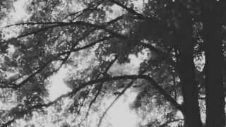 Sorrysong.- Jinnwoo ft. Caroline Weeks