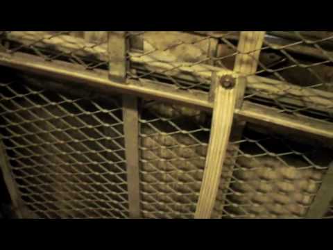 Haughton Hydraulic Freight Elevator at University of Rochester Todd Union