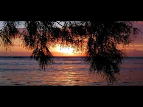 Warped X Drex   Sms Si Maman si