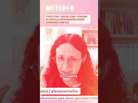 CIENTISTAS “DIGITALIZAM” CÉREBRO DE MOSCA E INTERNAUTAS FAZEM HORRORES COM ELE