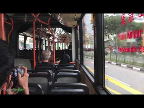 Loud ZF Idle Howl | TIB1129P on 901 | SMRT Mercedes Benz O405G (Hispano Habit)