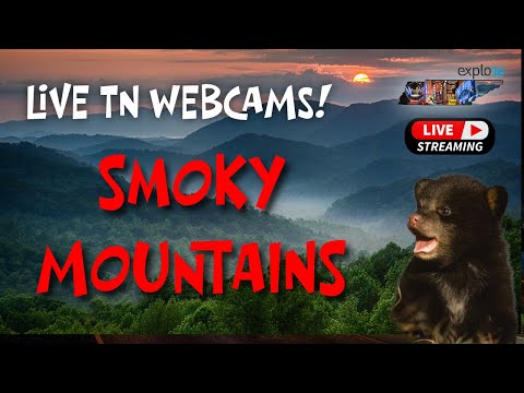 Smoky Mountains Webcam