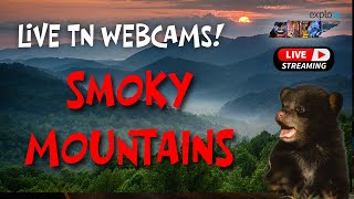 LIVE Webcams in the Smokies! - Explore Tennessee