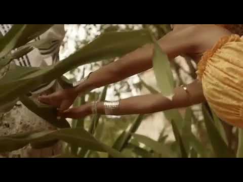 ilê aiyê -  negras perfumadas 2019 deusa do ébano 40 anos  (macaco gordo produção)