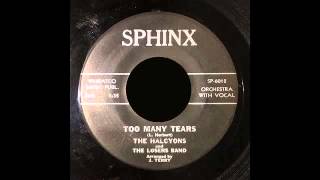 The Halcyons - Too Many Tears