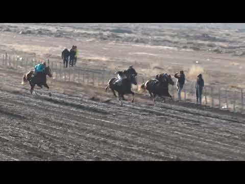 VALENTINA  Club Hípico Cabo Alarcón - Picun Leufu - 27/08/2023