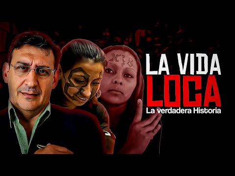 The Crazy Life A Portrait of CHRISTIAN POVEDA │ I'LL EXPLAIN EVERYTHING TO YOU.