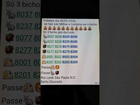 Betto Dourado Palpites Bagaceira dia 30/01/2026 Rio Look São Paulo Nacional 